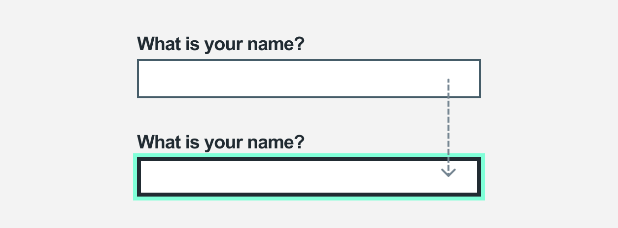 A text input labelled "What is your name?". The example shows the text input both unfocused and focused.